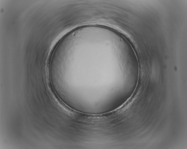 X0000071831517200607211749