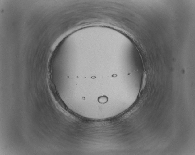 X0000071831518200607211749