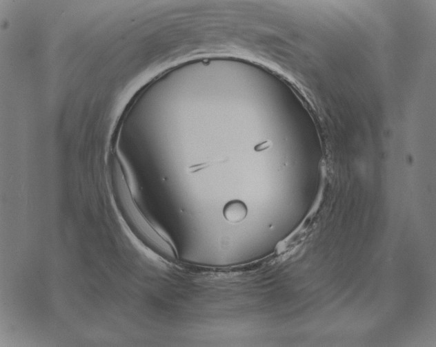 X0000071831519200607211749