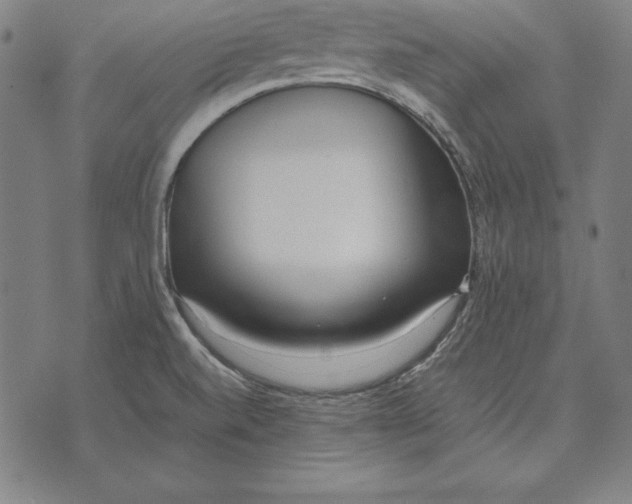 X0000071831520200607211749