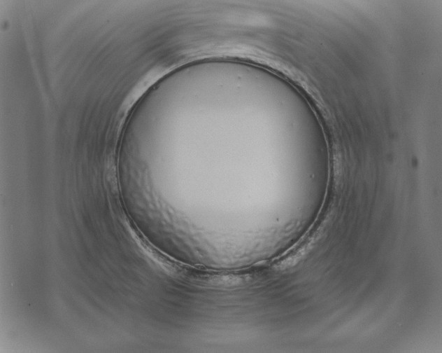 X0000071831521200607211749