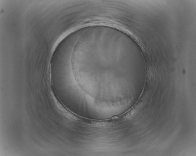 X0000071831522200607211749