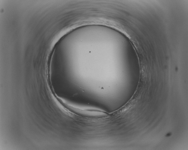 X0000071831523200607211749