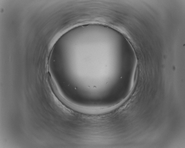 X0000071831524200607211749