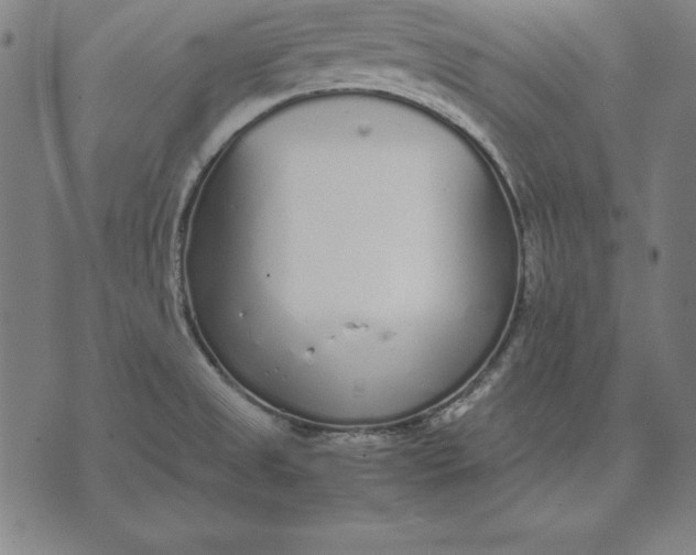 X0000071831525200607211749