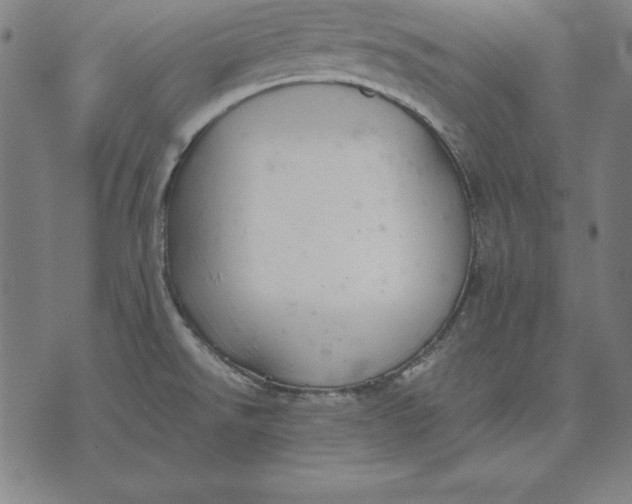 X0000071831526200607211749