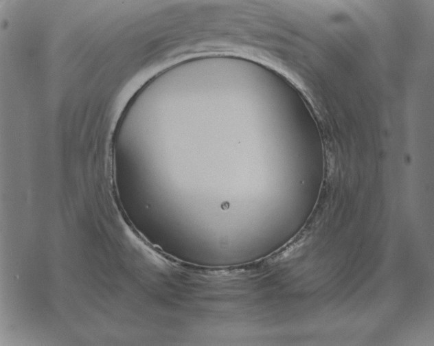 X0000071831527200607211749