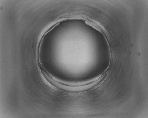 X0000071831528200607211749