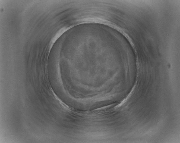 X0000071831529200607211749