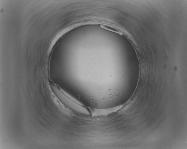 X0000071831530200607211749