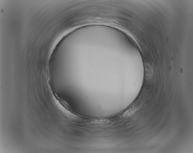 X0000071831531200607211749