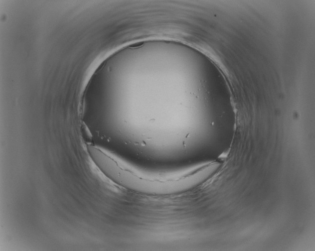 X0000071831532200607211749