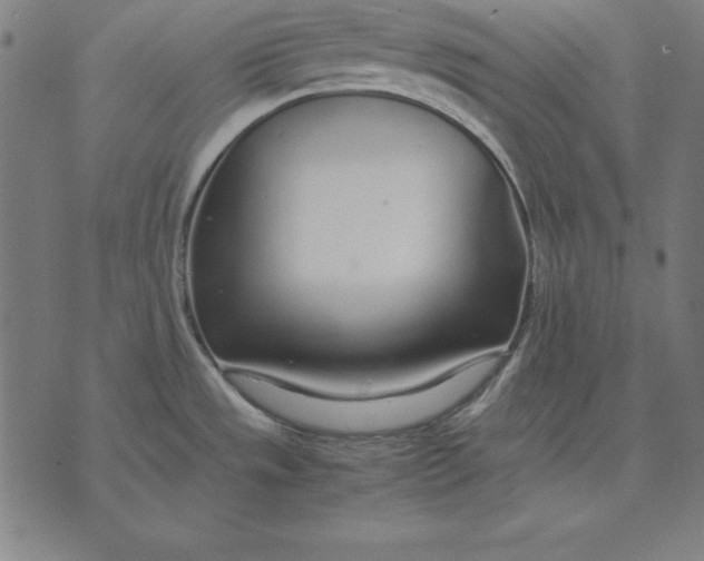 X0000071831533200607211749