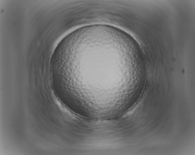 X0000071831534200607211749