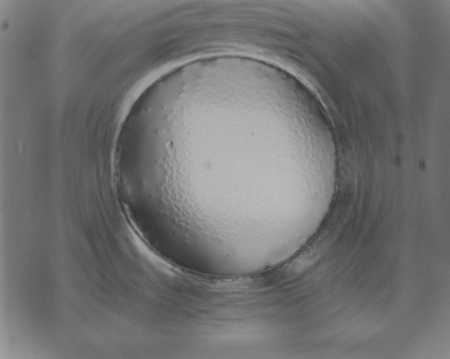 X0000071831535200607211749