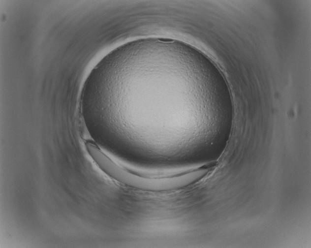 X0000071831536200607211749