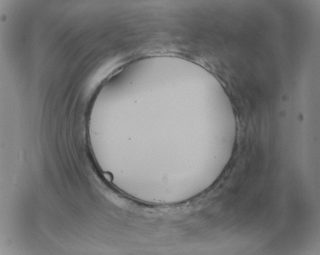X0000071830005200607290054