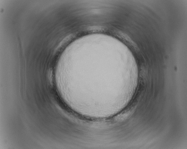 X0000071830024200607290053