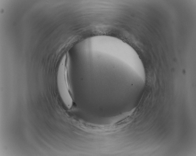 X0000071830027200607290053