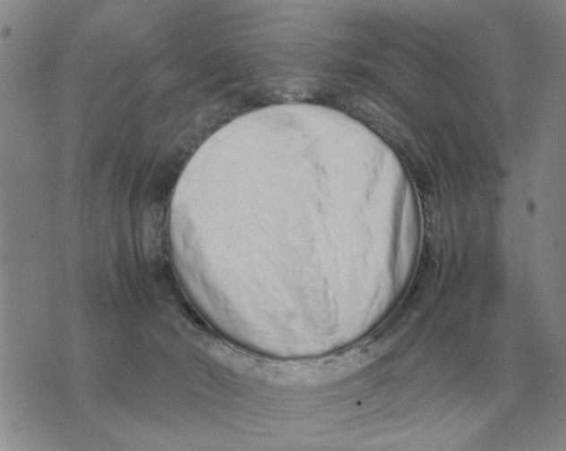X0000071830030200607290053