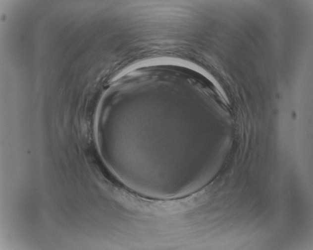 X0000071830031200607290053