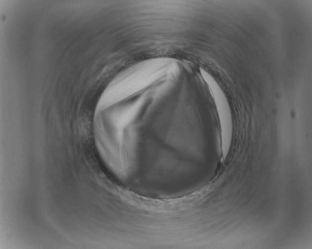 X0000071830035200607290053