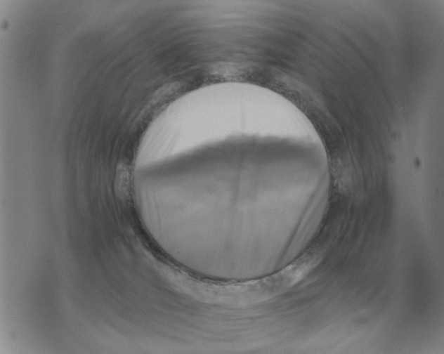 X0000071830036200607290053