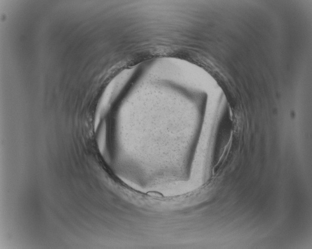 X0000071830043200607290053