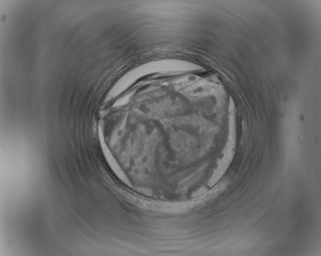 X0000071830048200607290053