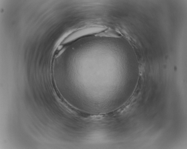 X0000071830052200607290052