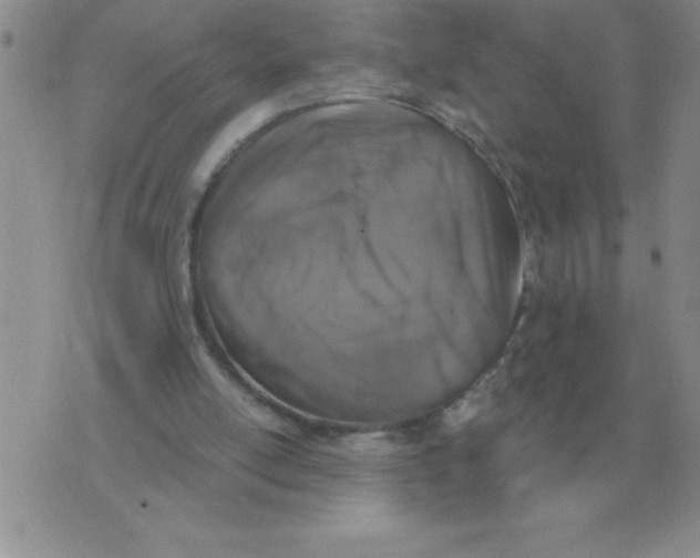 X0000071830054200607290052