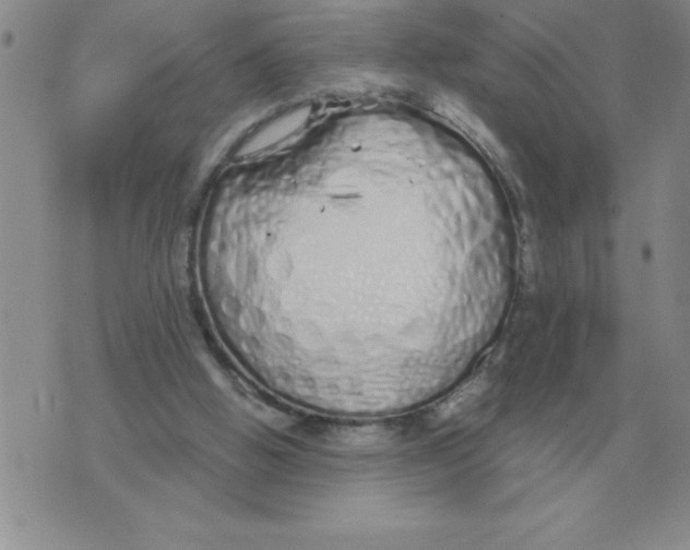 X0000071830058200607290052