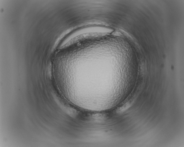 X0000071830064200607290052