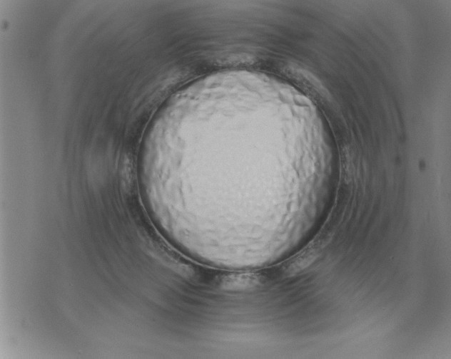 X0000071830077200607290053