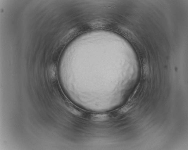X0000071830081200607290053