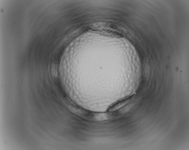 X0000071830091200607290053
