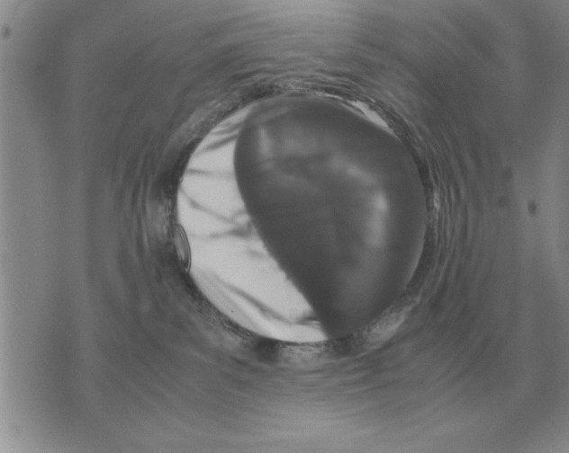 X0000071830139200607290051