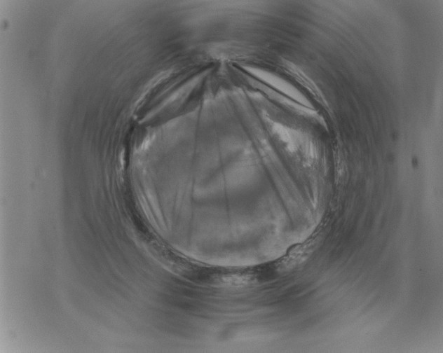X0000071830163200607290051