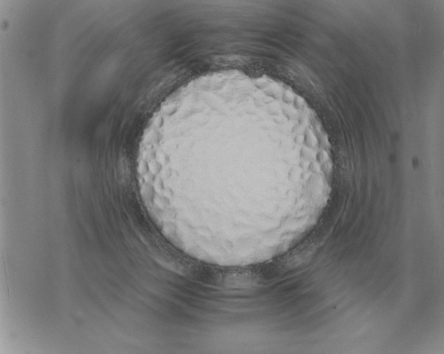 X0000071830173200607290051