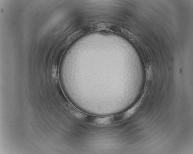 X0000071830178200607290051