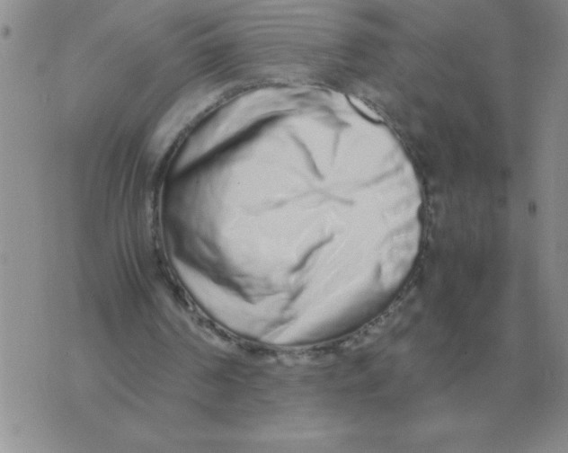 X0000071830194200607290050