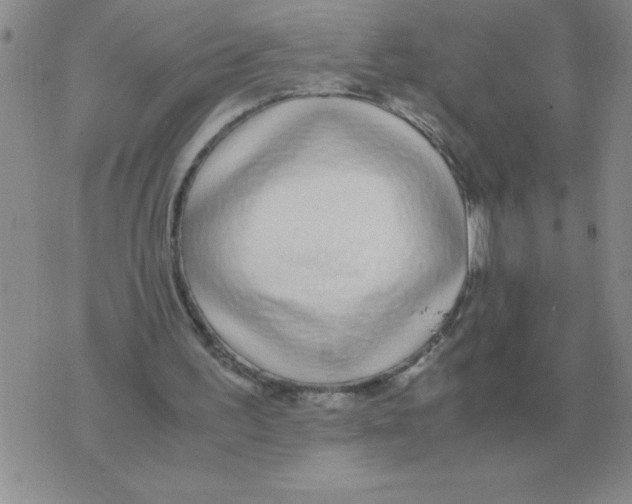 X0000071830195200607290050