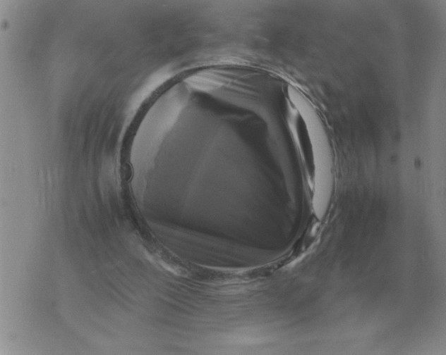 X0000071830200200607290050