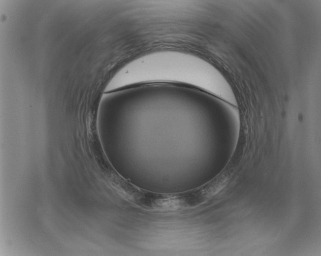 X0000071830219200607290050
