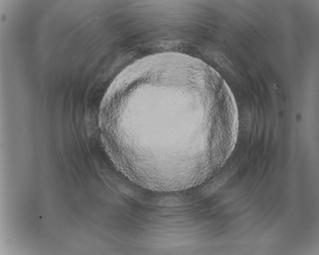 X0000071830236200607290050