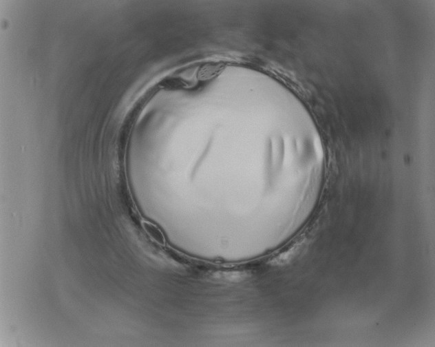 X0000071830247200607290049