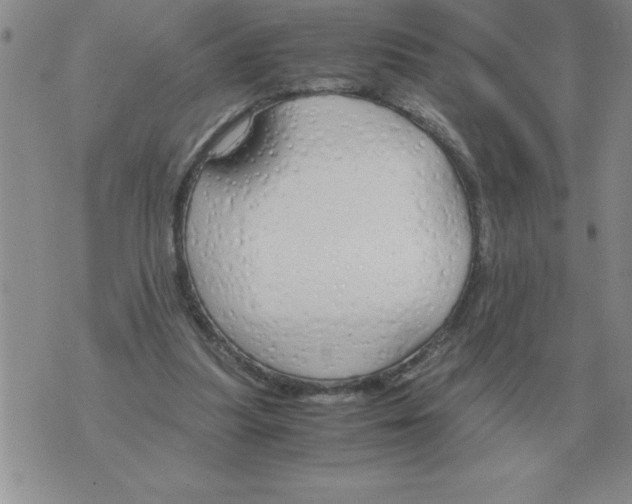 X0000071830251200607290049
