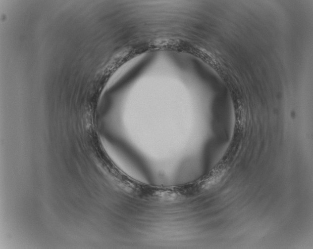 X0000071830272200607290049