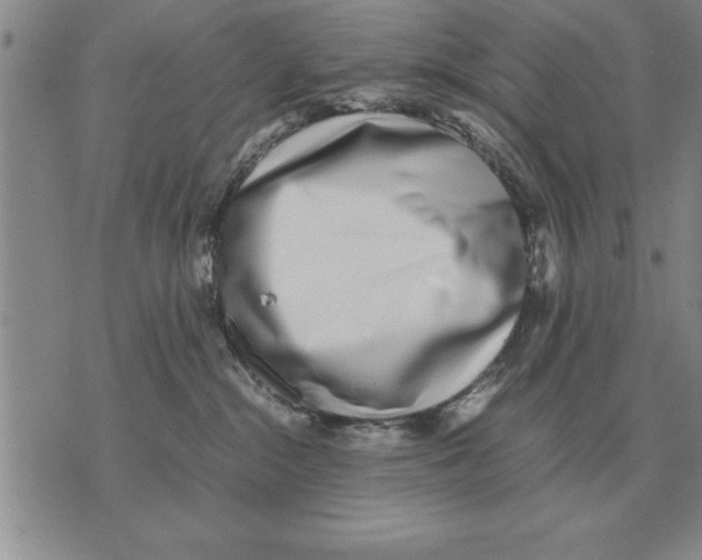 X0000071830284200607290050