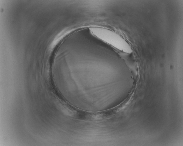 X0000071830295200607290049
